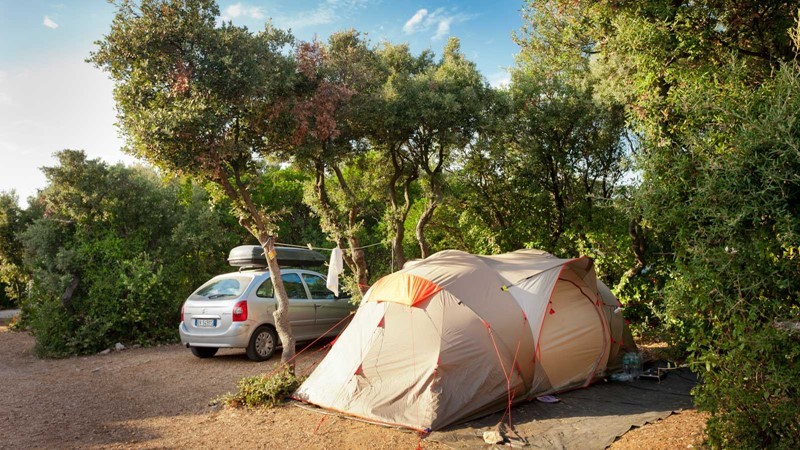 Ein Campingzelt neben einem Auto unter Bäumen