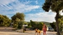 A person walking a dog on a sunny day near a campsite on Cres