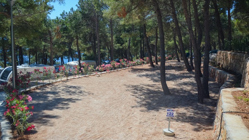 Ein Campingplatz umgeben von Pinien und Blumen auf der Insel Cres