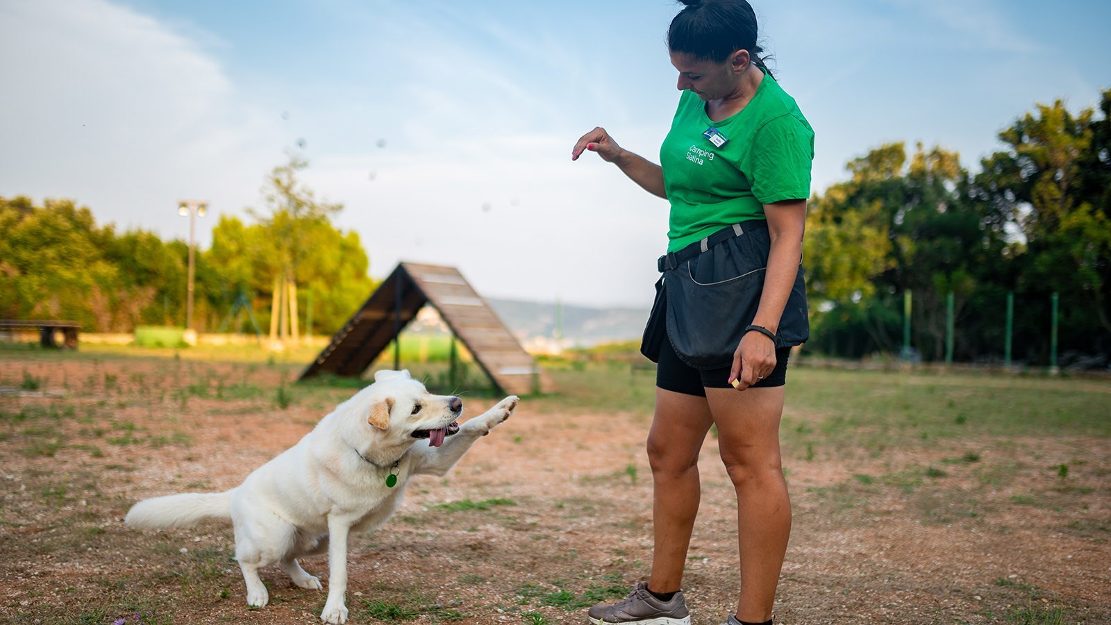 Iemand traint een hond in een buitenomgeving