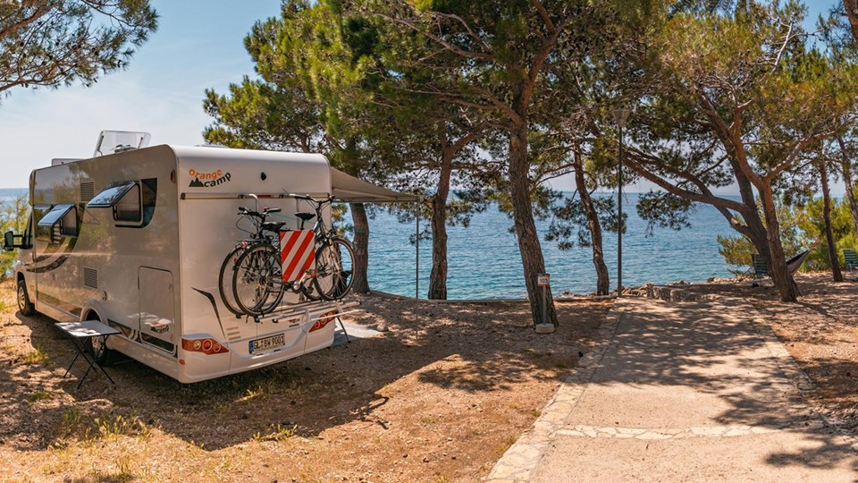 BLACK FRIDAY WEEKEND